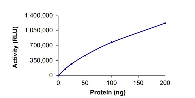 Recombinant human PI 3 K p85 alpha + PI 3 K catalytic subunit alpha (N345 K) protein (Active)
