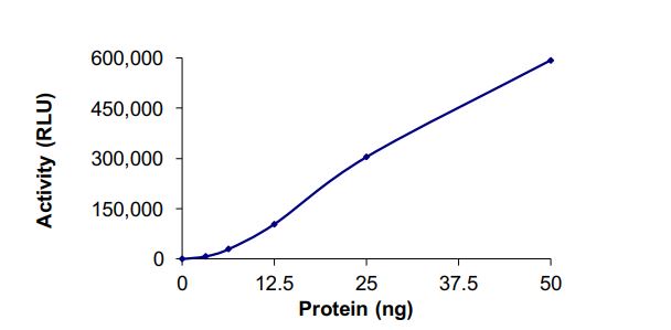 Recombinant human PI 3 K p85 alpha + PI 3 K catalytic subunit alpha/PIK3CA (E1021K) protein