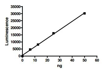 Functional Studies - Recombinant human PI 3 Kinase p110 alpha + PI 3 kinase p85 alpha protein (GST tag N-Term, Tag Free) (AB196098)