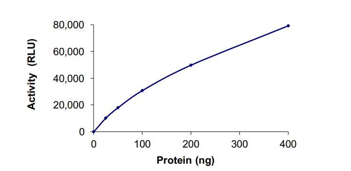 Recombinant human PI 3 Kinase p55 gamma + PI 3 Kinase catalytic subunit alpha/PIK3CA protein