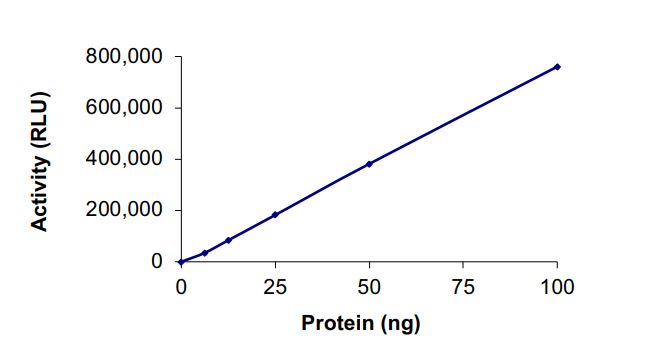 Functional Studies - Recombinant human PI 3 Kinase p85 alpha + PI 3 Kinase catalytic subunit alpha/PIK3CA (E542K) protein (AB268851), expandable thumbnail