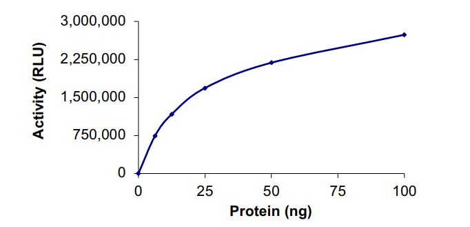 Recombinant human PI 3 Kinase p85 alpha + PI 3 Kinase catalytic subunit alpha/PIK3CA (E545K) protein