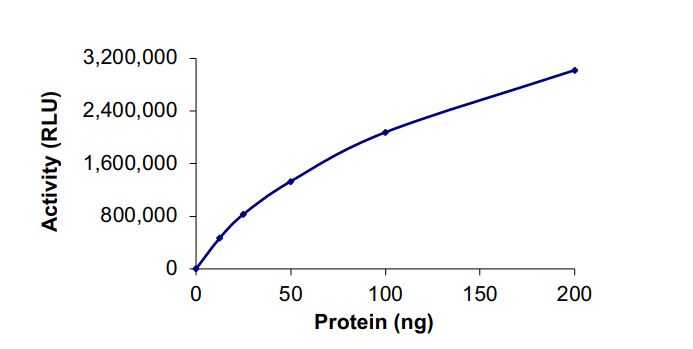 Recombinant human PI 3 Kinase p85 alpha + PI 3 Kinase catalytic subunit alpha/PIK3CA protein