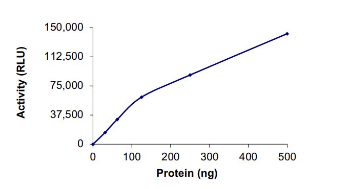 Functional Studies - Recombinant human PI3 Kinase p110 beta + PI 3 Kinase p85 alpha protein (Active) (AB268856), expandable thumbnail