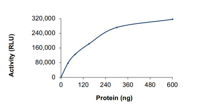 Recombinant human PI3 Kinase p110 beta + PI 3 Kinase p85 beta protein (Active)