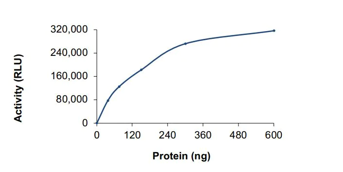 Functional Studies - Recombinant human PI3 Kinase p110 beta + PI 3 Kinase p85 beta protein (Active) (AB268857)
