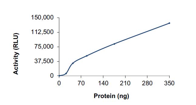 Functional Studies - Recombinant human PI3K (p110 delta/p85 alpha) protein (Active) (AB125633), expandable thumbnail
