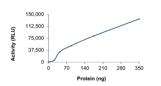 Functional Studies - Recombinant human PI3K (p110 delta/p85 alpha) protein (Active) (AB125633)