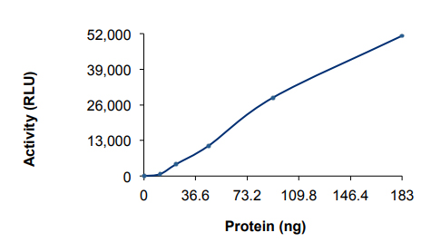 Functional Studies - Recombinant human PI3K(p110alpha/p55gamma) protein (Active) (AB127617), expandable thumbnail