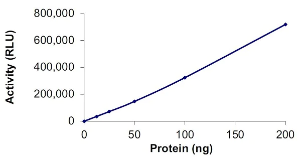 Functional Studies - Recombinant human PI3K(p110alpha/p55gamma) protein (Active) (AB127617)