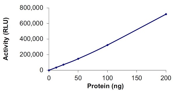Functional Studies - Recombinant human PI3K(p110alpha/p55gamma) protein (Active) (His tag N-Terminus) (AB127617)
