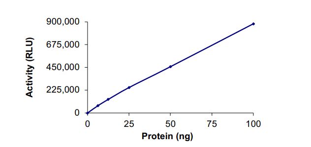 Functional Studies - Recombinant human PI4K2A protein (Active) (AB268860)