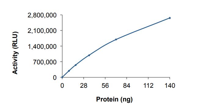 Functional Studies - Recombinant human PI4K2B protein (Active) (AB268861), expandable thumbnail