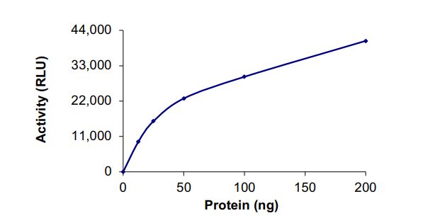 Recombinant human PI4KA protein (Active)
