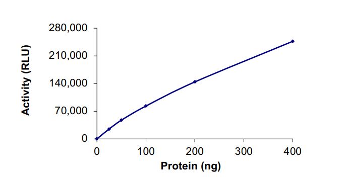 Functional Studies - Recombinant human PIK3C2B protein (Active) (AB268865)