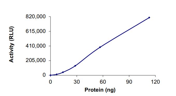 Recombinant human PIK3C2G protein (Active)