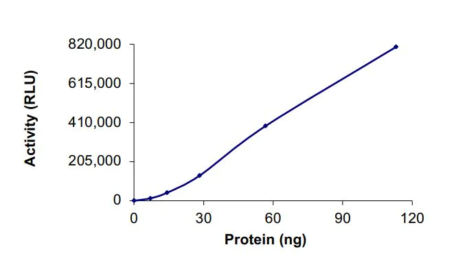 Functional Studies - Recombinant human PIK3C2G protein (Active) (AB268866)
