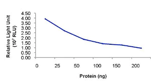 Functional Studies - Recombinant human Pik3ca + PIK3R1 protein (AB85833)