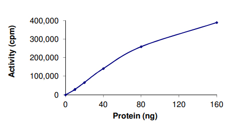 Functional Studies - Recombinant human PIM1 protein (AB60835)
