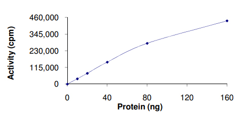 Recombinant human PIM2 protein