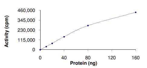 Functional Studies - Recombinant human PIM2 protein (AB60836)