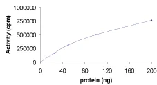 Functional Studies - Recombinant human PIM2 protein (AB60836)