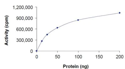 Functional Studies - Recombinant human PIM3 protein (AB204146)
