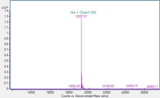 Mass Spectrometry - Recombinant Human PIN1 Protein (His tag) (E.Coli) (AB313358)