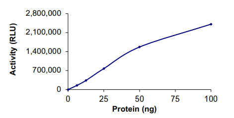 Functional Studies - Recombinant human PIP5K1 alpha/PIP5K1A protein (Tagged) (AB261922)