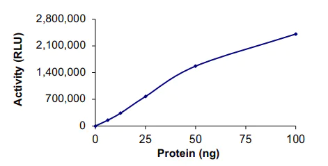 Functional Studies - Recombinant human PIP5K1 alpha/PIP5K1A protein (Tagged) (AB261922)