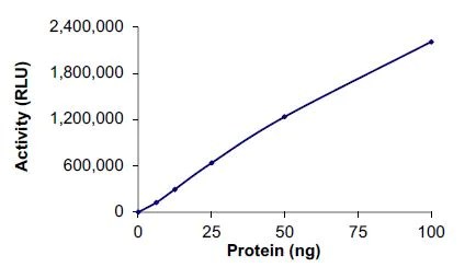 Functional Studies - Recombinant human PIP5K1 alpha/PIP5K1A protein (Tagged) (AB261922)