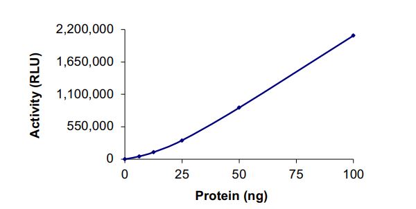 Functional Studies - Recombinant human PIP5K1 beta protein (Active) (AB268871)
