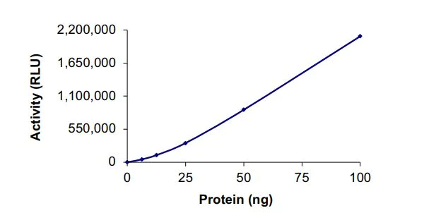 Functional Studies - Recombinant human PIP5K1 beta protein (Active) (AB268871)