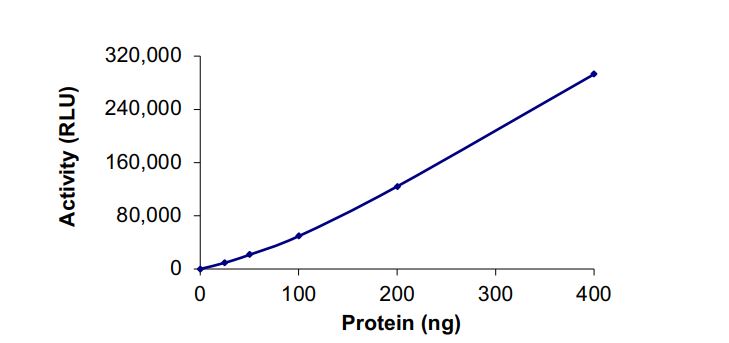 Functional Studies - Recombinant human PIP5K2 gamma protein (Active) (AB268870)