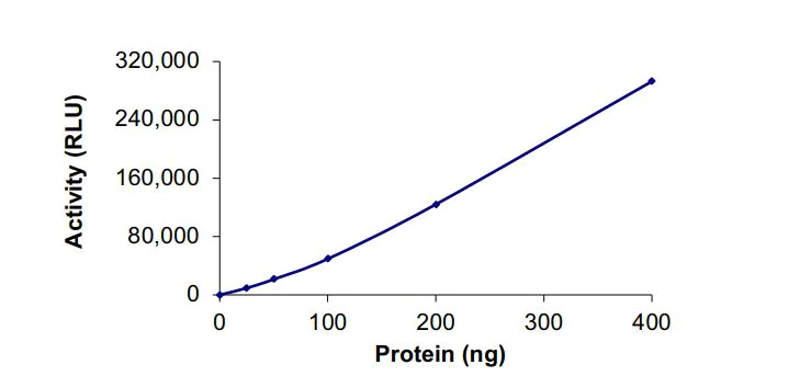 Functional Studies - Recombinant human PIP5K2 gamma protein (Active) (GST tag N-Terminus) (AB268870)