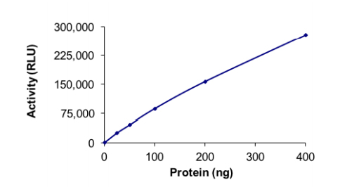 Functional Studies - Recombinant human PIP5K3/PIKFYVE protein (AB207977), expandable thumbnail