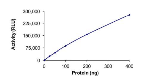 Functional Studies - Recombinant human PIP5K3/PIKFYVE protein (AB207977)