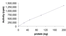 Functional Studies - Recombinant human PKA beta (catalytic subunit) protein (AB60837)