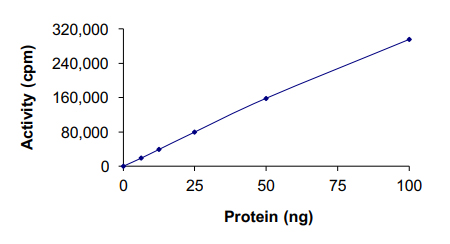 Functional Studies - Recombinant human PKA beta (catalytic subunit) protein (AB60837)