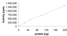 Functional Studies - Recombinant human PKA beta (catalytic subunit) protein (GST tag N-Terminus) (AB60837)