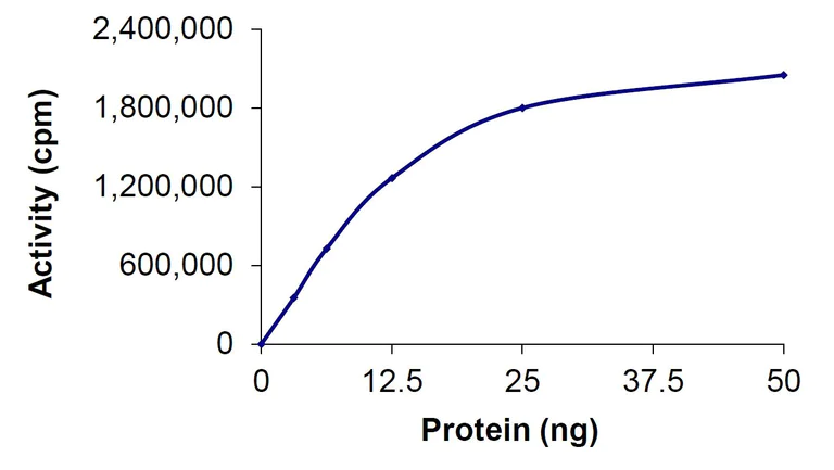 Functional Studies - Recombinant human PKC alpha protein (Active) (AB55672)