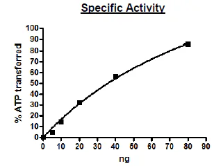 Functional Studies - Recombinant human PKC alpha protein (Active) (GST tag N-Terminus) (AB271714)