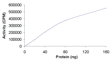 Functional Studies - Recombinant human PKC beta 1 protein (AB60840), expandable thumbnail