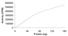 Functional Studies - Recombinant human PKC beta 1 protein (GST tag N-Terminus) (AB60840)