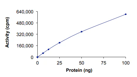 Functional Studies - Recombinant human PKC beta 1 protein (GST tag N-Terminus) (AB60840)