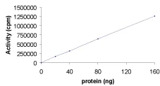 Functional Studies - Recombinant human PKC beta 2 protein (AB60841)