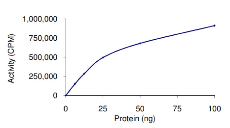 Functional Studies - Recombinant human PKC beta 2 protein (AB60841)