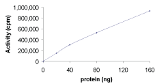 Functional Studies - Recombinant human PKC delta protein (AB60844), expandable thumbnail