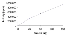 Functional Studies - Recombinant human PKC delta protein (AB60844)