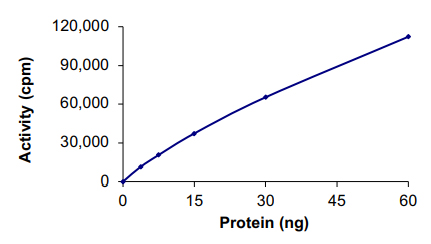 Functional Studies - Recombinant human PKC delta protein (AB60844), expandable thumbnail